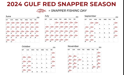 2024 Red Snapper Season in Florida: Everything You Need to Know